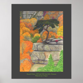 Buzzards Roost - Fall Bäck Falls State Park Poster