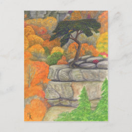 Buzzards roost vid Fall Bäck Falls Postcard Vykort
