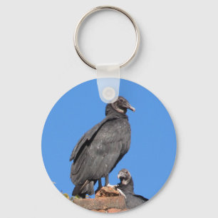 Buzzards Tittar på dina Nyckelringar