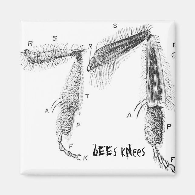 buzzart magnet (Framsidan)