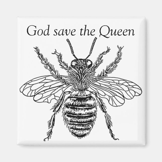 buzzart queen bee magnet (Framsidan)