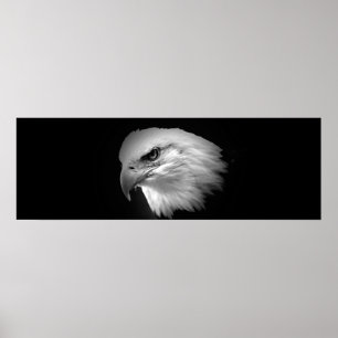 BW American Örn Print - Panoramic Poster