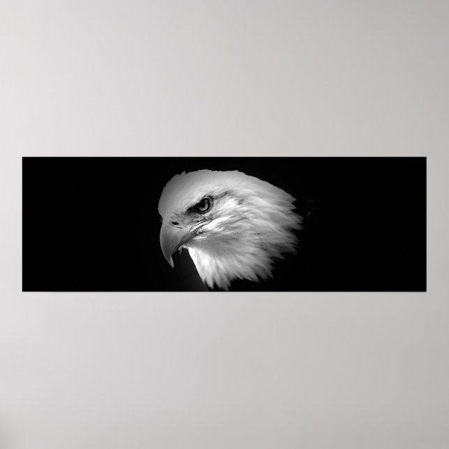 BW American Örn Print - Panoramic Poster (Framsidan)