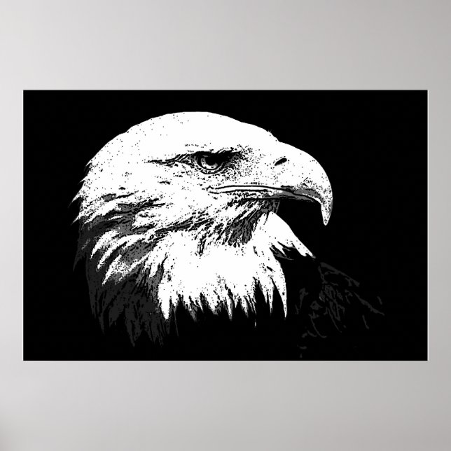 BW Amerikanska Örn Poster Poster utskriftsålder (Framsidan)