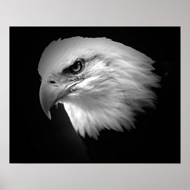 BW Amerikanska Örn Poster Poster utskriftsålder (Framsidan)