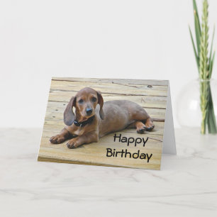 BW- Dachshund Puppy Birthday Card Kort