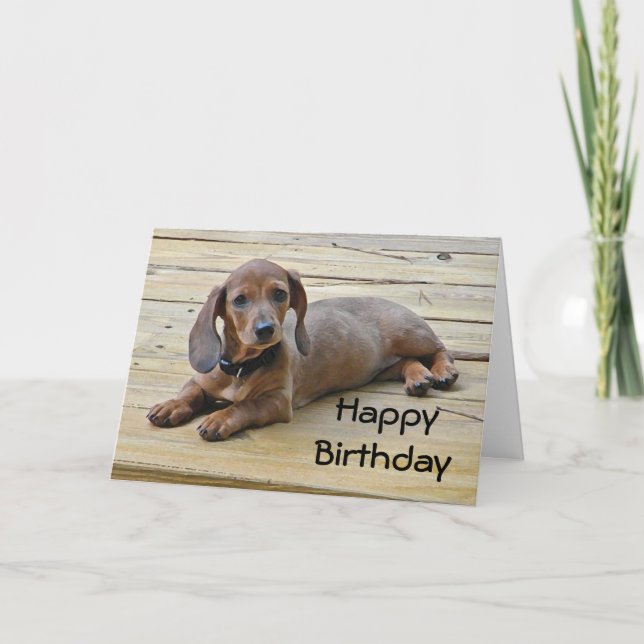 BW- Dachshund Puppy Birthday Card Kort (Framsida)