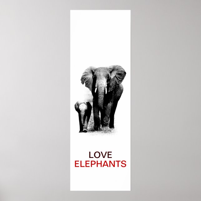 BW Elephant & Baby Elephant Poster (Framsidan)