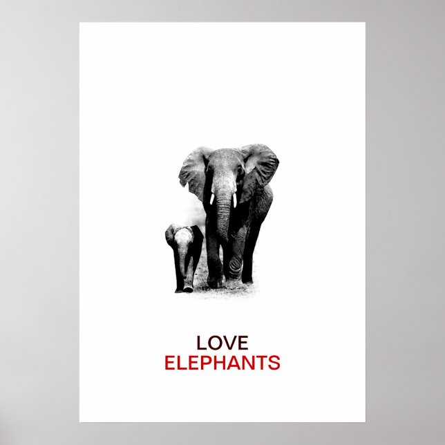 BW Elephant & Baby Elephant Poster (Framsidan)