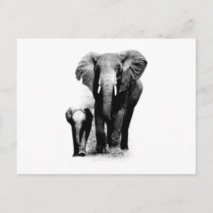 BW Elephant & Baby Elephant Vykort