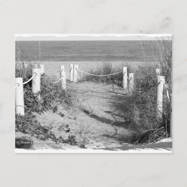 BW Fort Pierce, Florida-strandpromenaddune avropad Vykort (Framsida)