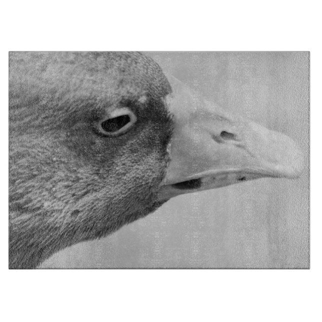 BW Goose (Framsidan)