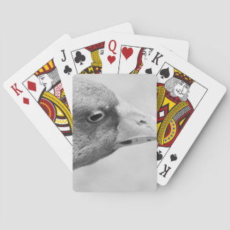 BW Goose Casinokort