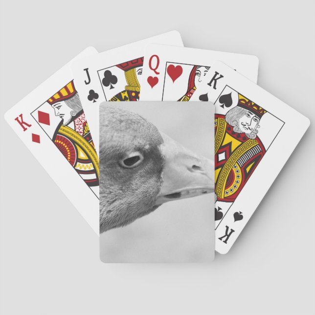 BW Goose Casinokort (Baksidan)