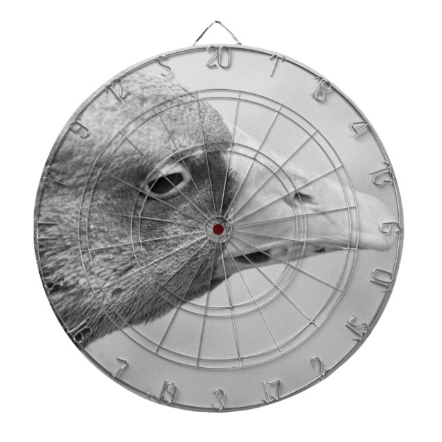 BW Goose Darttavla (Framsidan)