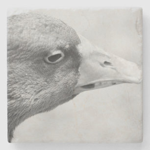 BW Goose Stenunderlägg