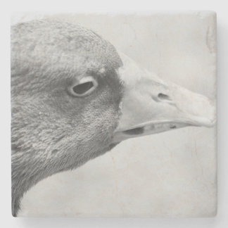 BW Goose Stenunderlägg