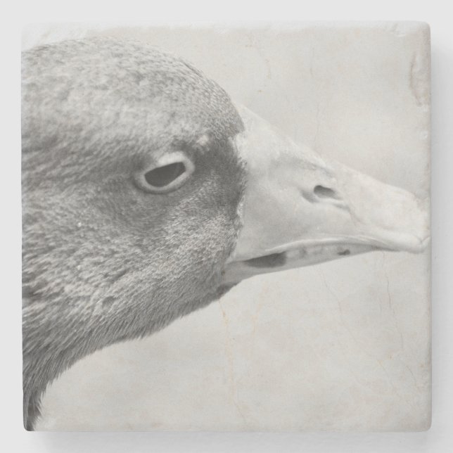 BW Goose Stenunderlägg (Framsidan)