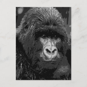 BW Gorilla Ansikte Vykort