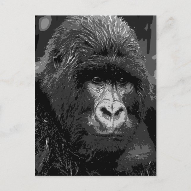 BW Gorilla Ansikte Vykort (Framsida)