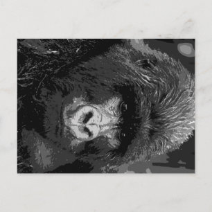 BW Gorilla Ansikte Vykort