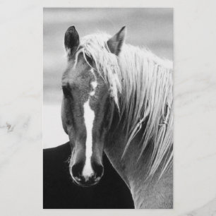 BW Horse Porträtt Brevpapper
