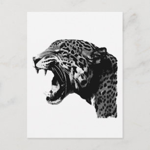 BW Jaguar Vykort