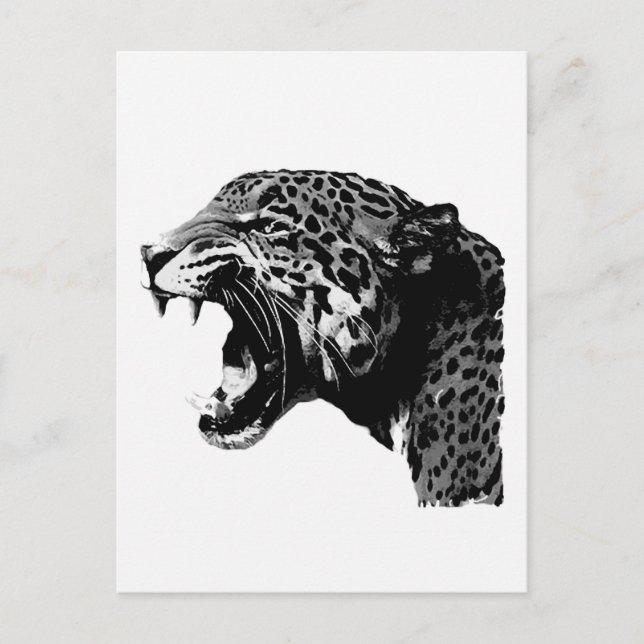 BW Jaguar Vykort (Framsida)