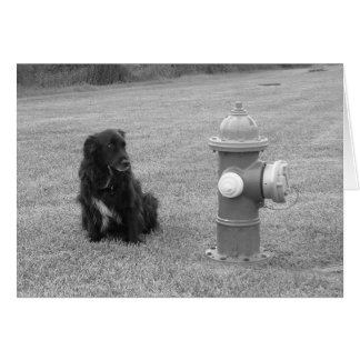 bw_retur hälsningskort