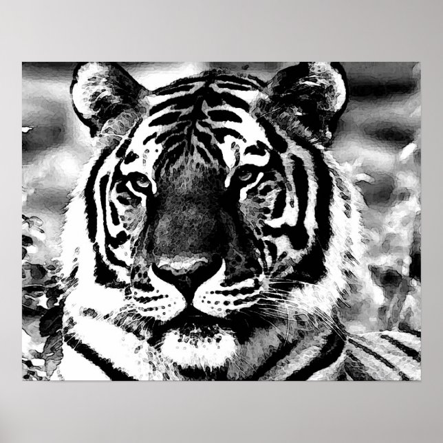 BW Tiger Poster Poster utskrift av Stil Tigers för (Framsidan)