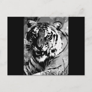 BW Tiger Vykort