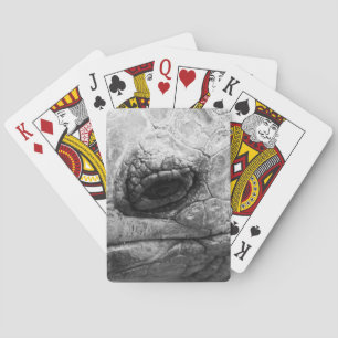 BW Tortoise Casinokort