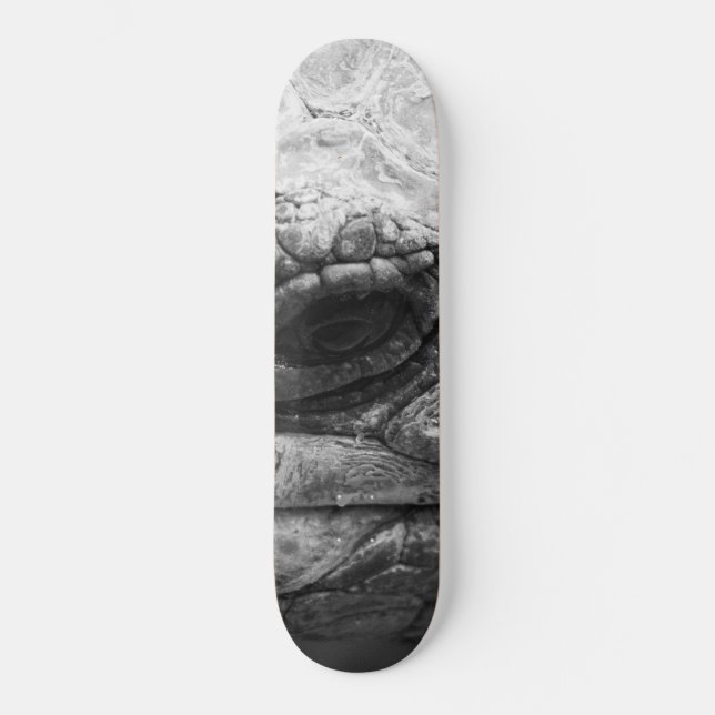 BW Tortoise Mini Skateboard Bräda 18,5 Cm (Framsida)
