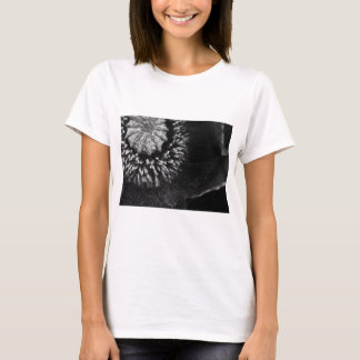 Bw-vallmo T Shirt