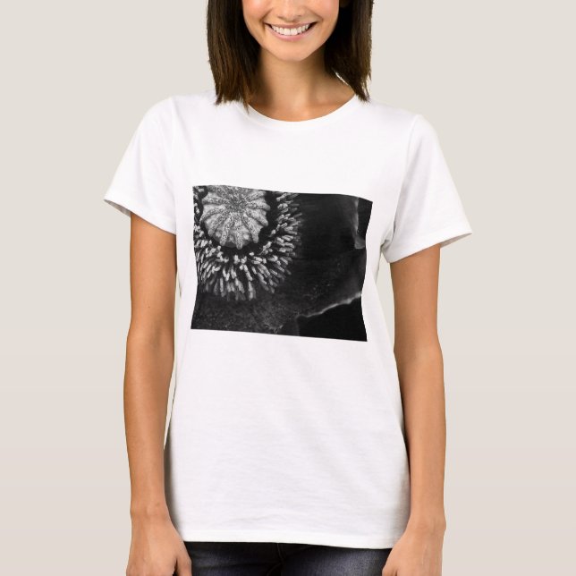 Bw-vallmo T Shirt (Framsida)