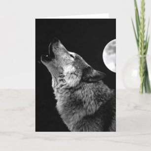 BW Varg Howling i Måne Kort