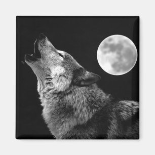 BW Varg Howling i Måne Magnet