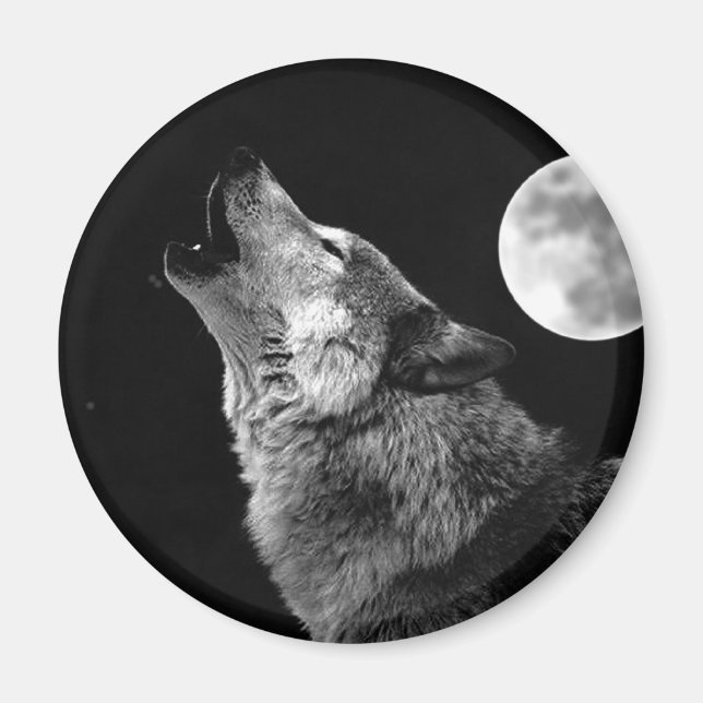BW Varg Howling i Måne Magnet (Framsidan)
