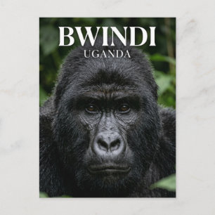 Bwindis ogenomträngliga skog Uganda Vykort
