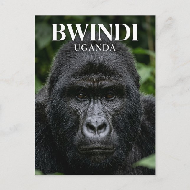 Bwindis ogenomträngliga skog Uganda Vykort (Framsida)