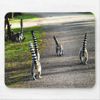 Bye - byeLemurs Musmatta