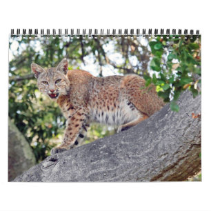 Byfågel- och djurlivkalendern kalender
