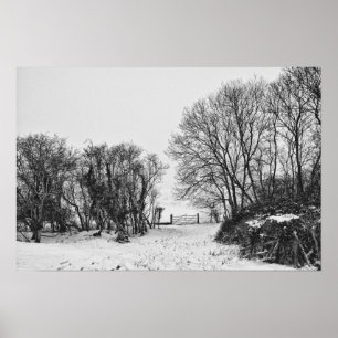 Bygd i snön poster
