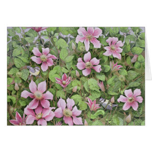 Bygga bo i Clematis Hälsningskort