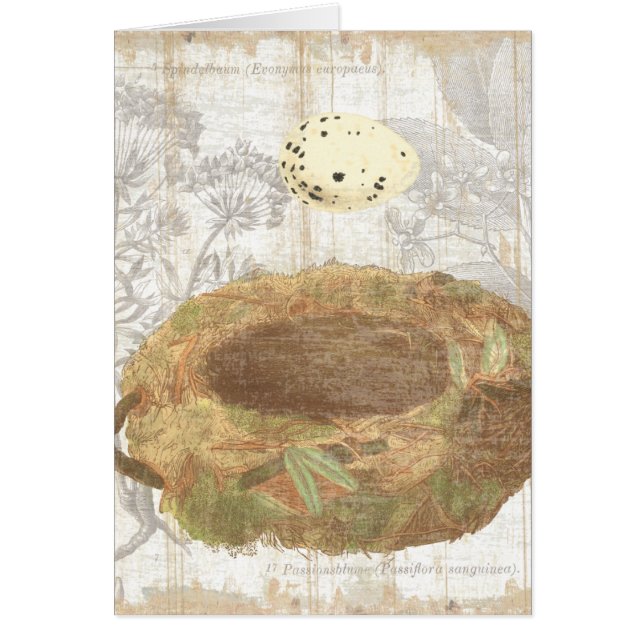 Bygga bo med det spräckliga ägget hälsningskort (Framsidan)