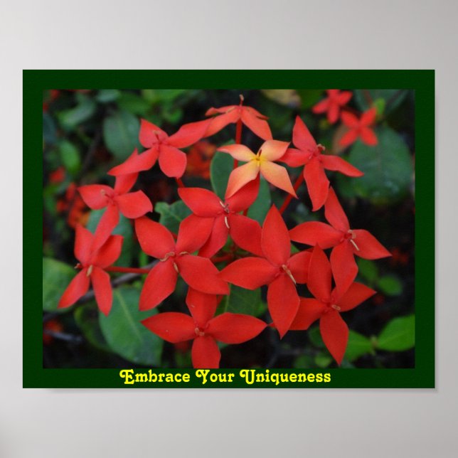 Bygga upp din unika upplevelse poster (Framsidan)