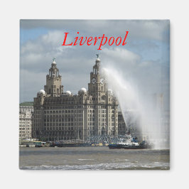 Byggnad i levern - Fridge Magnet