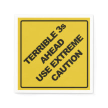 Byggnadstecken Party Napkin