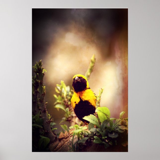 Byggnadsvävare Poster (Framsidan)