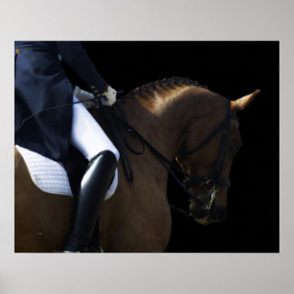 Byggt till Sista 2 Poster